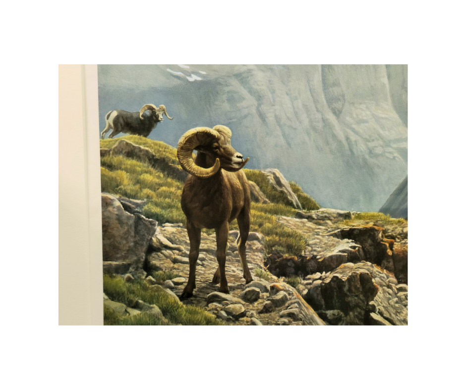 Limited Edition Robert Bateman