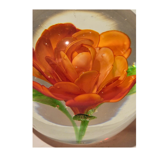 Glass Rose Paperweight