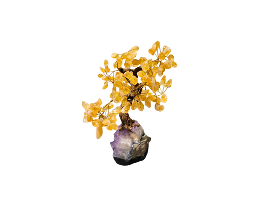 Citrine Crystal Bonsai Tree on Amethyst Base