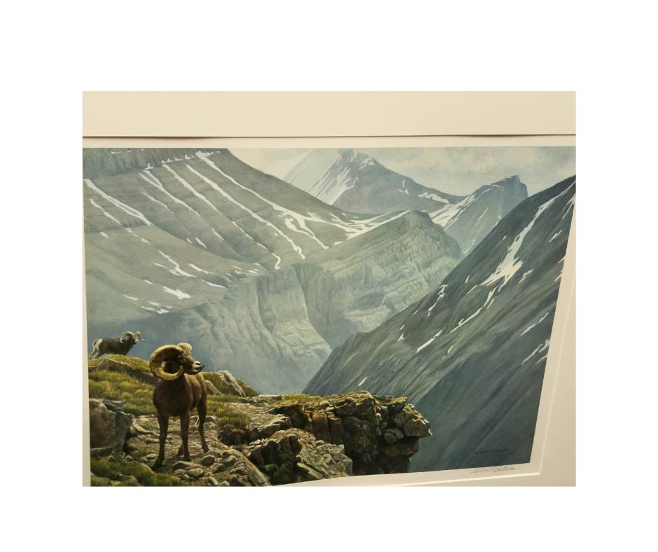 Limited Edition Robert Bateman